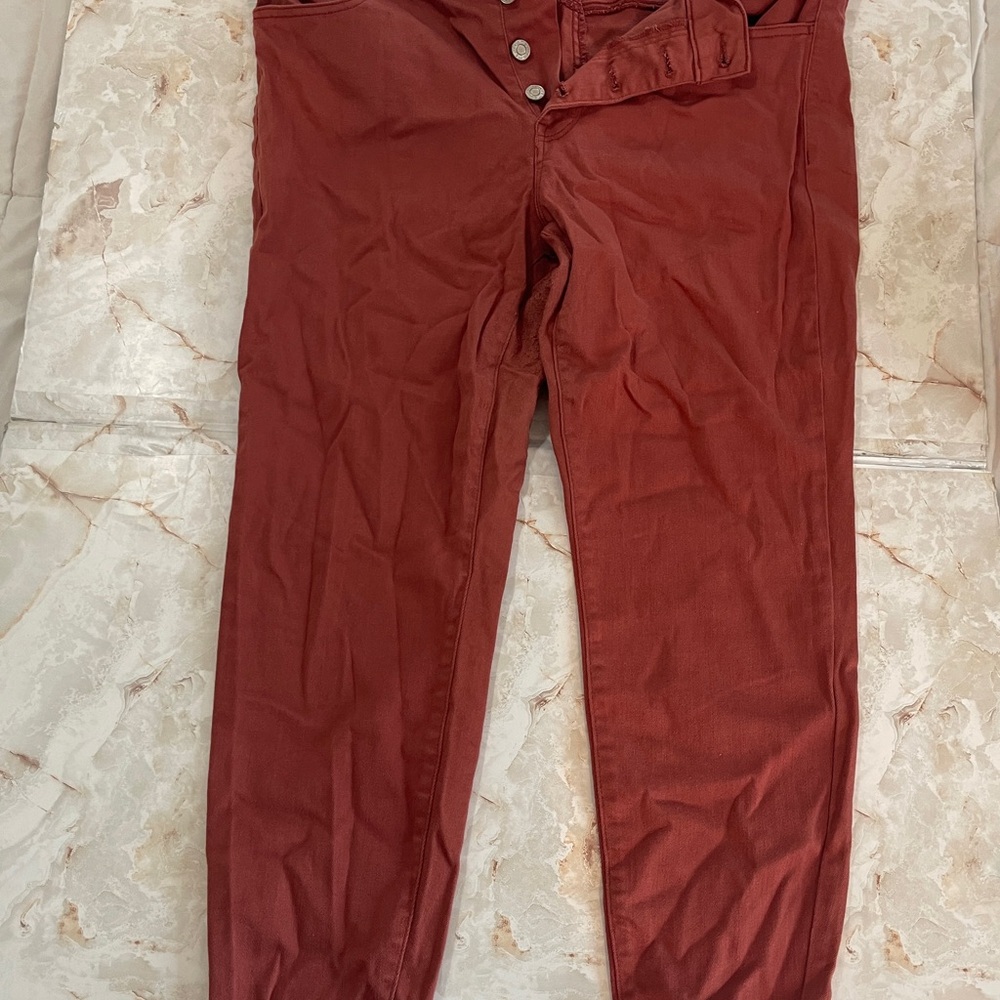 Brown Cropped Ankle Pants with Relaxed Fit